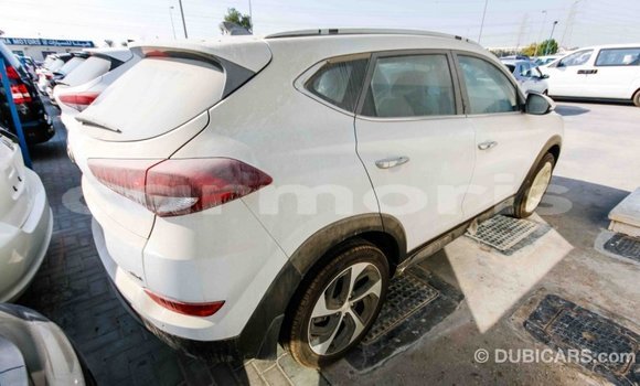 Buy Import Hyundai Tucson White Car in Import - Dubai in Agalega Islands Buy Import Hyundai Tucson White Car in Import - Dubai in Agalega Islands
