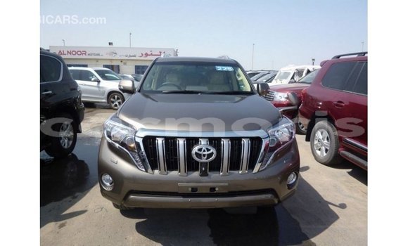 Buy Import Toyota Prado Brown Car in Import - Dubai in Agalega Islands Buy Import Toyota Prado Brown Car in Import - Dubai in Agalega Islands