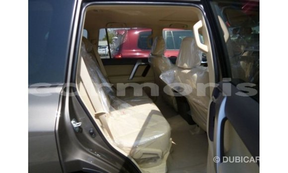 Buy Import Toyota Prado Brown Car in Import - Dubai in Agalega Islands Buy Import Toyota Prado Brown Car in Import - Dubai in Agalega Islands
