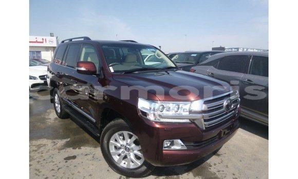 Buy Import Toyota Land Cruiser Brown Car in Import - Dubai in Agalega Islands Buy Import Toyota Land Cruiser Brown Car in Import - Dubai in Agalega Islands