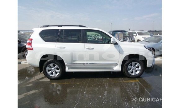 Acheter Import Voiture Toyota Prado Blanc à Import - Dubai, Îles Agalega Acheter Import Voiture Toyota Prado Blanc à Import - Dubai, Îles Agalega