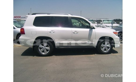 Buy Import Toyota Land Cruiser White Car in Import - Dubai in Agalega Islands Buy Import Toyota Land Cruiser White Car in Import - Dubai in Agalega Islands