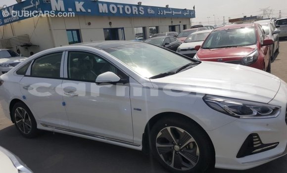 Buy Import Hyundai Sonata White Car in Import - Dubai in Agalega Islands Buy Import Hyundai Sonata White Car in Import - Dubai in Agalega Islands