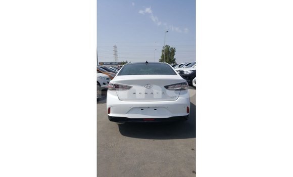 Buy Import Hyundai Sonata White Car in Import - Dubai in Agalega Islands Buy Import Hyundai Sonata White Car in Import - Dubai in Agalega Islands