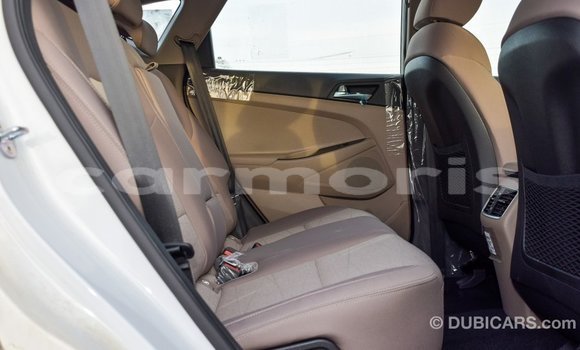 Buy Import Hyundai Tucson White Car in Import - Dubai in Agalega Islands Buy Import Hyundai Tucson White Car in Import - Dubai in Agalega Islands