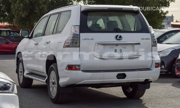 Buy Import Lexus GX White Car in Import - Dubai in Agalega Islands Buy Import Lexus GX White Car in Import - Dubai in Agalega Islands
