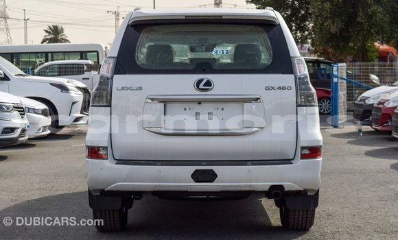 Buy Import Lexus GX White Car in Import - Dubai in Agalega Islands Buy Import Lexus GX White Car in Import - Dubai in Agalega Islands
