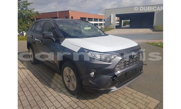 Buy Import Toyota RAV4 Other Car in Import - Dubai in Agalega Islands Buy Import Toyota RAV4 Other Car in Import - Dubai in Agalega Islands