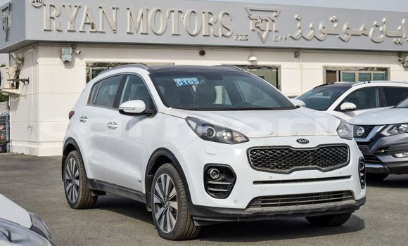 Buy Import Kia Sportage White Car in Import - Dubai in Agalega Islands Buy Import Kia Sportage White Car in Import - Dubai in Agalega Islands