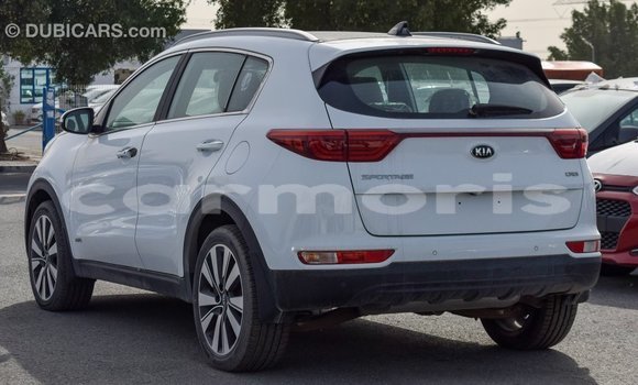Buy Import Kia Sportage White Car in Import - Dubai in Agalega Islands Buy Import Kia Sportage White Car in Import - Dubai in Agalega Islands