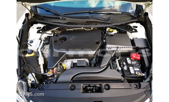Buy Import Nissan Altima White Car in Import - Dubai in Agalega Islands Buy Import Nissan Altima White Car in Import - Dubai in Agalega Islands