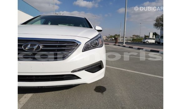 Buy Import Hyundai Sonata White Car in Import - Dubai in Agalega Islands Buy Import Hyundai Sonata White Car in Import - Dubai in Agalega Islands