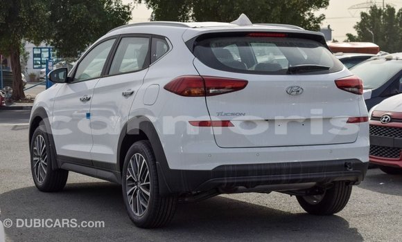 Buy Import Hyundai Tucson White Car in Import - Dubai in Agalega Islands Buy Import Hyundai Tucson White Car in Import - Dubai in Agalega Islands