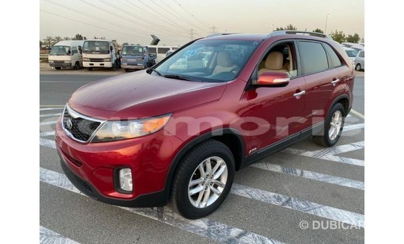 Buy Import Kia Sorento Red Car in Import - Dubai in Agalega Islands Buy Import Kia Sorento Red Car in Import - Dubai in Agalega Islands