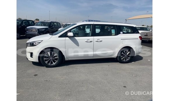 Buy Import Kia Carnival White Car in Import - Dubai in Agalega Islands Buy Import Kia Carnival White Car in Import - Dubai in Agalega Islands