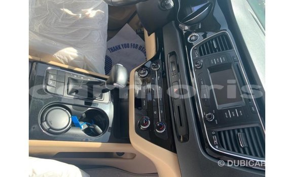 Buy Import Kia Carnival White Car in Import - Dubai in Agalega Islands Buy Import Kia Carnival White Car in Import - Dubai in Agalega Islands