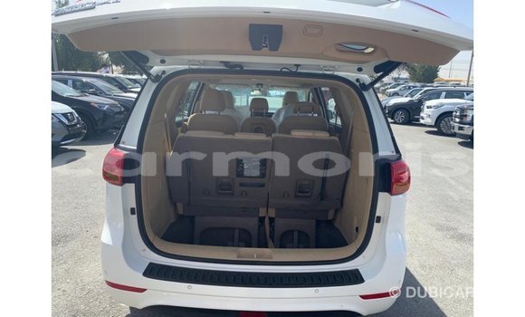 Buy Import Kia Carnival White Car in Import - Dubai in Agalega Islands Buy Import Kia Carnival White Car in Import - Dubai in Agalega Islands
