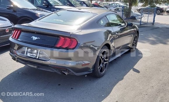 Buy Import Ford Mustang Other Car in Import - Dubai in Agalega Islands Buy Import Ford Mustang Other Car in Import - Dubai in Agalega Islands