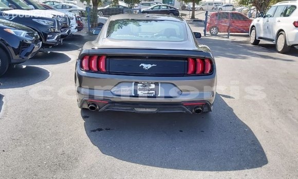 Buy Import Ford Mustang Other Car in Import - Dubai in Agalega Islands Buy Import Ford Mustang Other Car in Import - Dubai in Agalega Islands