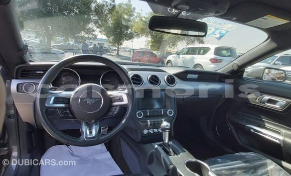 Buy Import Ford Mustang Other Car in Import - Dubai in Agalega Islands Buy Import Ford Mustang Other Car in Import - Dubai in Agalega Islands