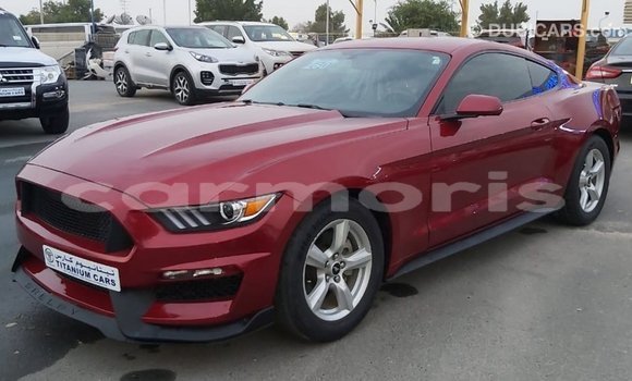 Buy Import Ford Mustang Red Car in Import - Dubai in Agalega Islands Buy Import Ford Mustang Red Car in Import - Dubai in Agalega Islands