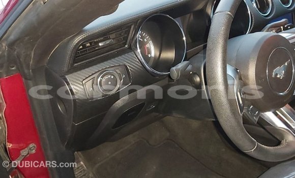 Buy Import Ford Mustang Red Car in Import - Dubai in Agalega Islands Buy Import Ford Mustang Red Car in Import - Dubai in Agalega Islands