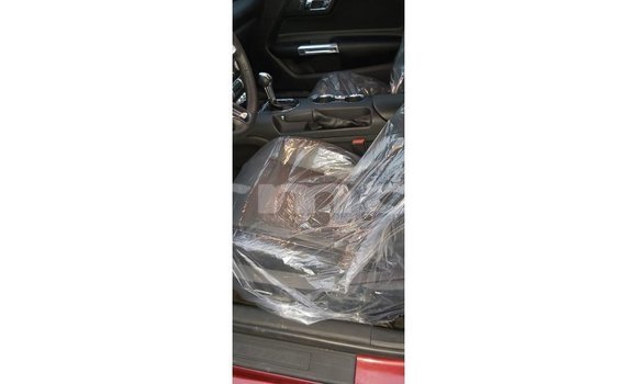 Buy Import Ford Mustang Red Car in Import - Dubai in Agalega Islands Buy Import Ford Mustang Red Car in Import - Dubai in Agalega Islands