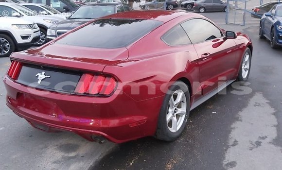 Buy Import Ford Mustang Red Car in Import - Dubai in Agalega Islands Buy Import Ford Mustang Red Car in Import - Dubai in Agalega Islands