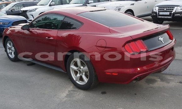 Buy Import Ford Mustang Red Car in Import - Dubai in Agalega Islands Buy Import Ford Mustang Red Car in Import - Dubai in Agalega Islands