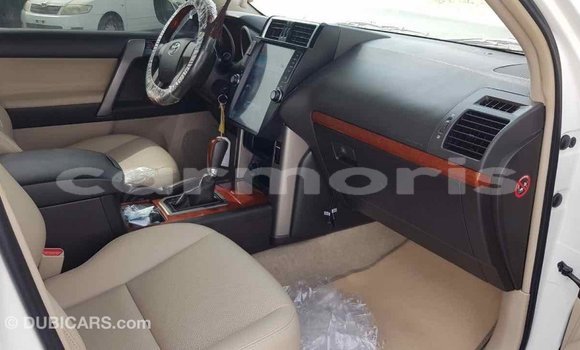 Buy Import Toyota Prado White Car in Import - Dubai in Agalega Islands Buy Import Toyota Prado White Car in Import - Dubai in Agalega Islands
