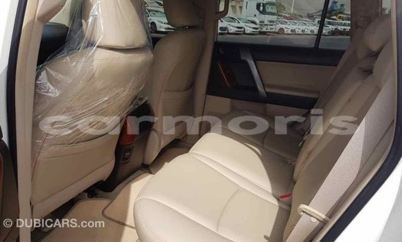 Buy Import Toyota Prado White Car in Import - Dubai in Agalega Islands Buy Import Toyota Prado White Car in Import - Dubai in Agalega Islands