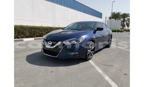 Buy Import Nissan Maxima Blue Car in Import - Dubai in Agalega Islands Buy Import Nissan Maxima Blue Car in Import - Dubai in Agalega Islands