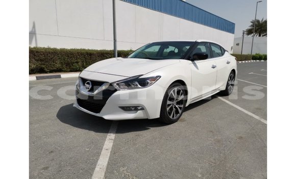 Buy Import Nissan Maxima White Car in Import - Dubai in Agalega Islands Buy Import Nissan Maxima White Car in Import - Dubai in Agalega Islands