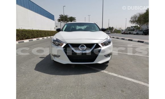 Buy Import Nissan Maxima White Car in Import - Dubai in Agalega Islands Buy Import Nissan Maxima White Car in Import - Dubai in Agalega Islands