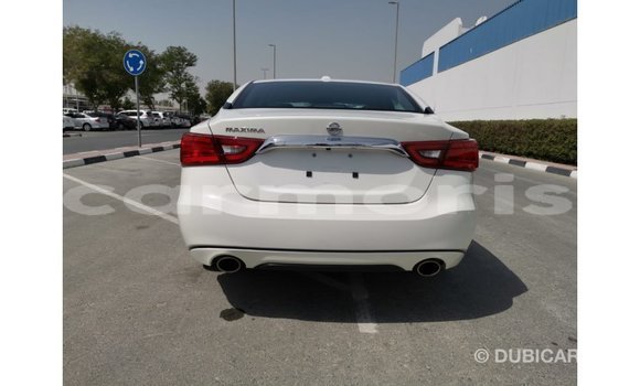 Buy Import Nissan Maxima White Car in Import - Dubai in Agalega Islands Buy Import Nissan Maxima White Car in Import - Dubai in Agalega Islands