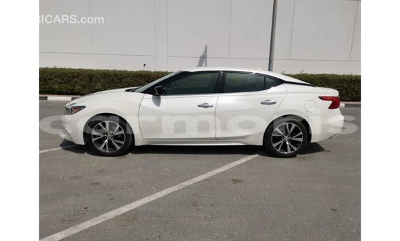 Buy Import Nissan Maxima White Car in Import - Dubai in Agalega Islands Buy Import Nissan Maxima White Car in Import - Dubai in Agalega Islands
