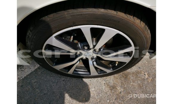 Buy Import Nissan Maxima White Car in Import - Dubai in Agalega Islands Buy Import Nissan Maxima White Car in Import - Dubai in Agalega Islands