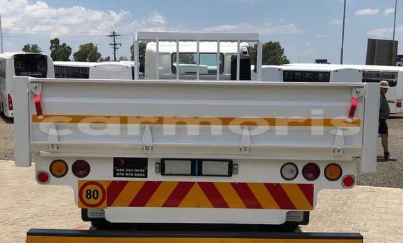 Buy Used Hino 300 Series White Truck in Port Louis in Port Louis District Buy Used Hino 300 Series White Truck in Port Louis in Port Louis District