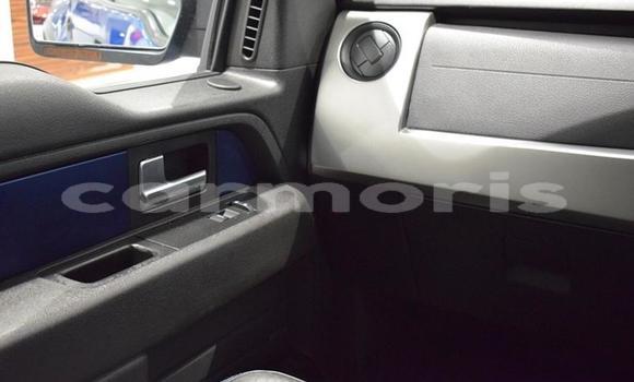 Buy Used Ford F–150 Blue Car in Port Louis in Port Louis District Buy Used Ford F–150 Blue Car in Port Louis in Port Louis District