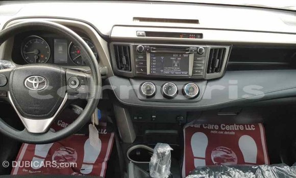 Buy Import Toyota RAV4 Black Car in Import - Dubai in Agalega Islands Buy Import Toyota RAV4 Black Car in Import - Dubai in Agalega Islands