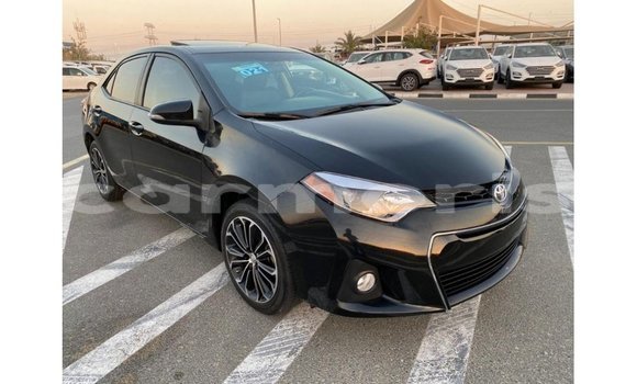 Buy Import Toyota Corolla Black Car in Import - Dubai in Agalega Islands Buy Import Toyota Corolla Black Car in Import - Dubai in Agalega Islands