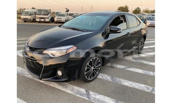Buy Import Toyota Corolla Black Car in Import - Dubai in Agalega Islands Buy Import Toyota Corolla Black Car in Import - Dubai in Agalega Islands