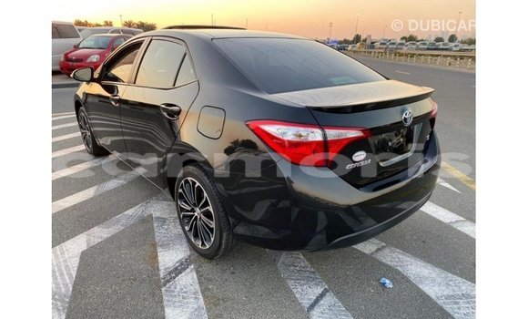 Buy Import Toyota Corolla Black Car in Import - Dubai in Agalega Islands Buy Import Toyota Corolla Black Car in Import - Dubai in Agalega Islands