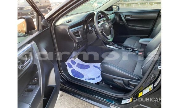 Buy Import Toyota Corolla Black Car in Import - Dubai in Agalega Islands Buy Import Toyota Corolla Black Car in Import - Dubai in Agalega Islands