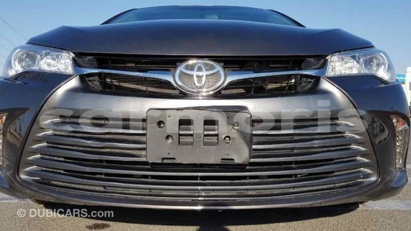 Big with watermark 467c7173 e7f2 4268 9275 163c02dbcbf3