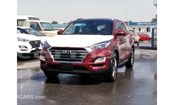 Buy Import Hyundai Tucson Red Car in Import - Dubai in Agalega Islands Buy Import Hyundai Tucson Red Car in Import - Dubai in Agalega Islands