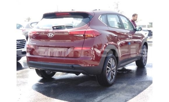Buy Import Hyundai Tucson Red Car in Import - Dubai in Agalega Islands Buy Import Hyundai Tucson Red Car in Import - Dubai in Agalega Islands