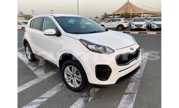 Buy Import Kia Sportage White Car in Import - Dubai in Agalega Islands Buy Import Kia Sportage White Car in Import - Dubai in Agalega Islands