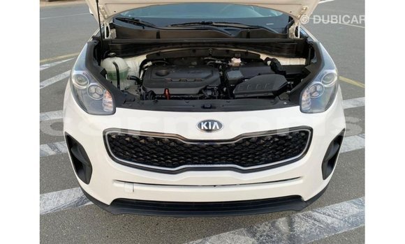 Buy Import Kia Sportage White Car in Import - Dubai in Agalega Islands Buy Import Kia Sportage White Car in Import - Dubai in Agalega Islands