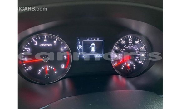 Buy Import Kia Sportage White Car in Import - Dubai in Agalega Islands Buy Import Kia Sportage White Car in Import - Dubai in Agalega Islands